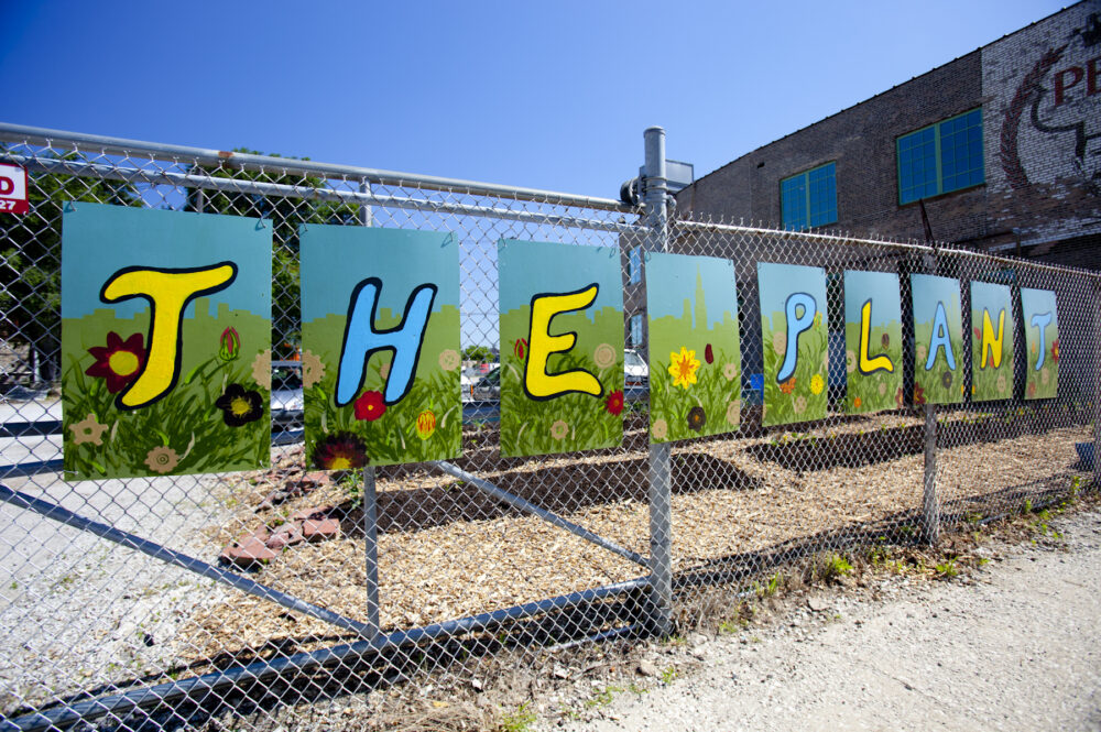 the plant fence painting