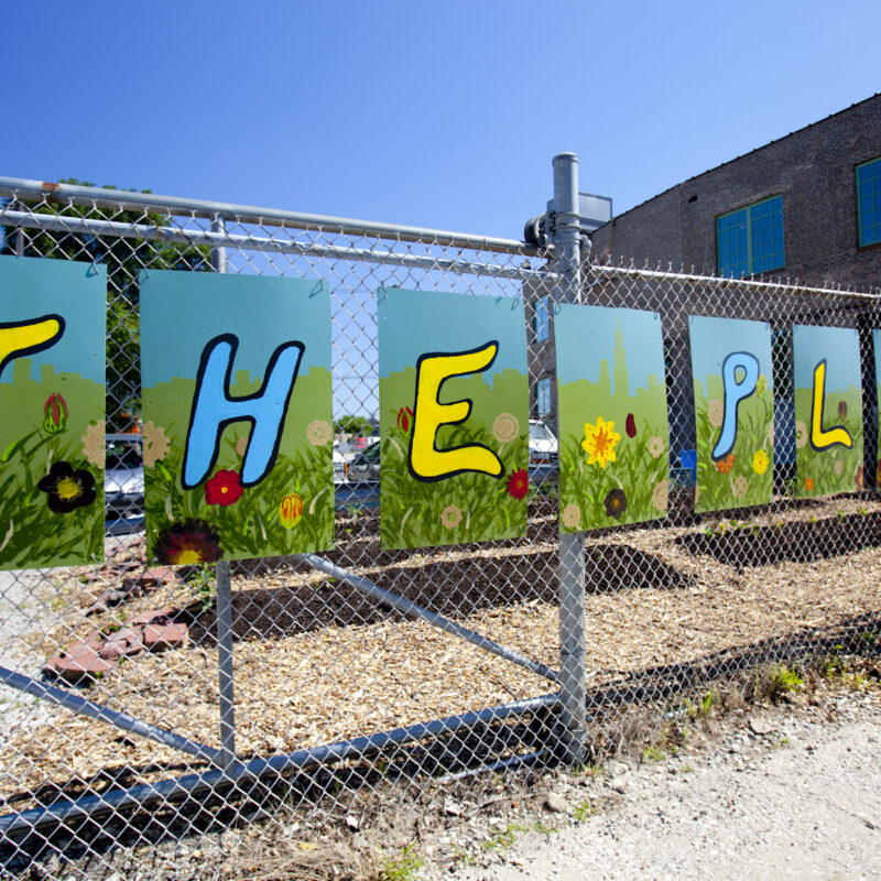 the plant fence painting