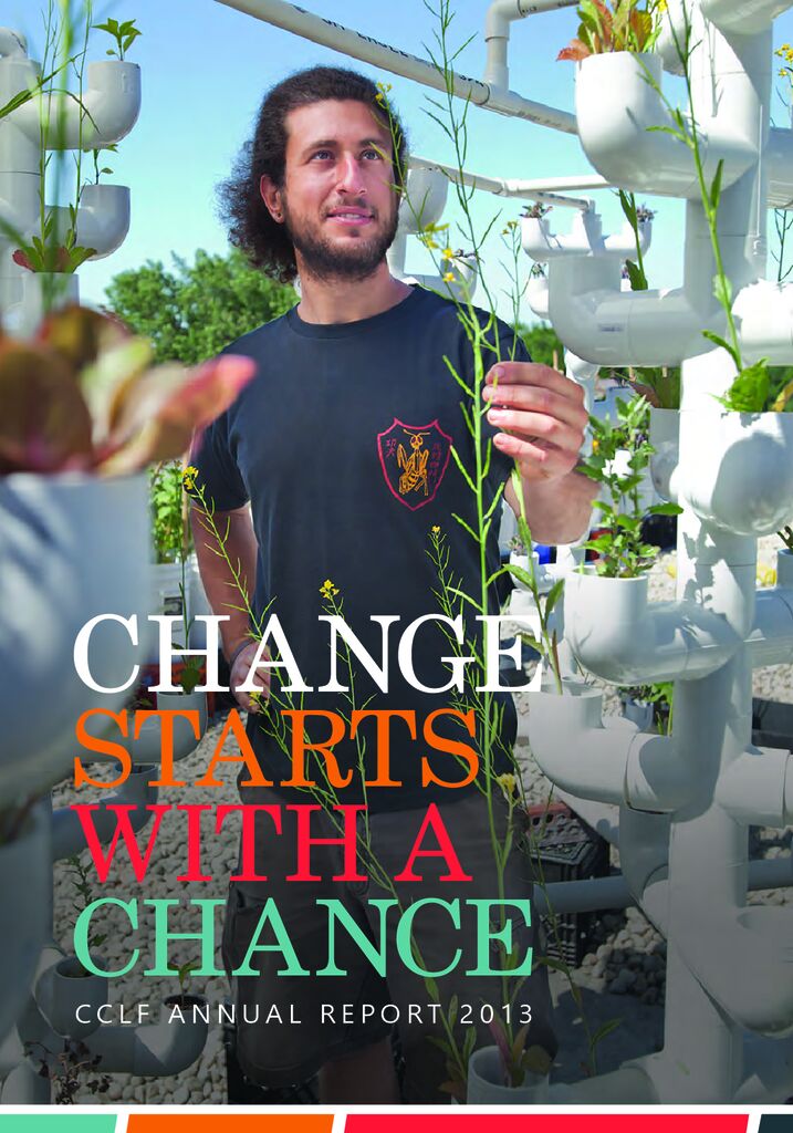 2013 Annual Report